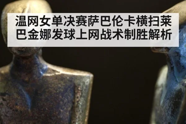 温网女单决赛萨巴伦卡横扫莱巴金娜发球上网战术制胜解析