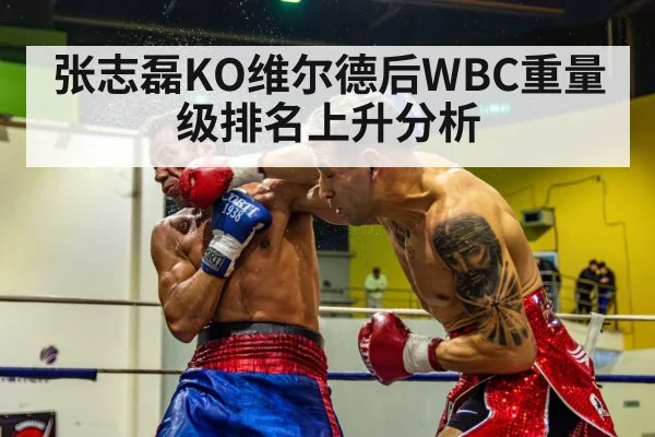 张志磊KO维尔德后WBC重量级排名上升分析