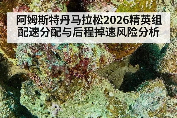 阿姆斯特丹马拉松2026精英组配速分配与后程掉速风险分析